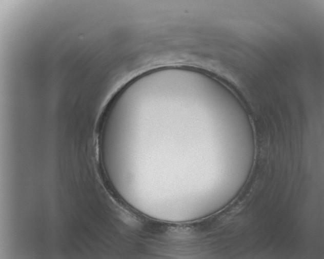 X0000059821509200511041706