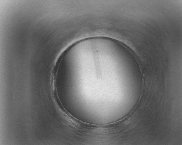 X0000059821510200511041706