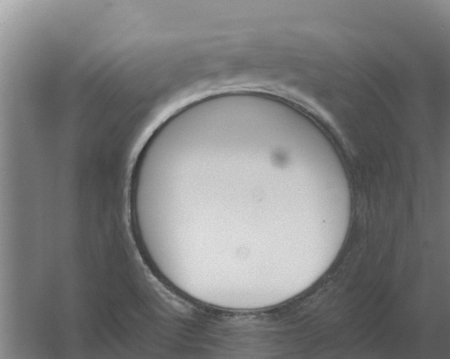 X0000059821512200511041706