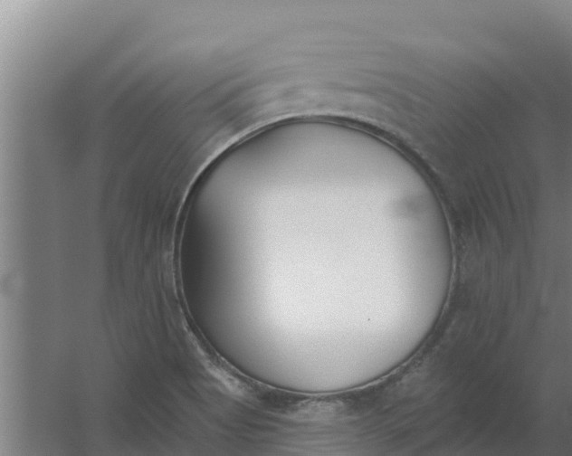 X0000059821513200511041706