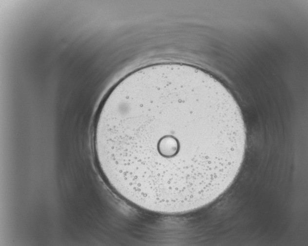 X0000059821514200511041706