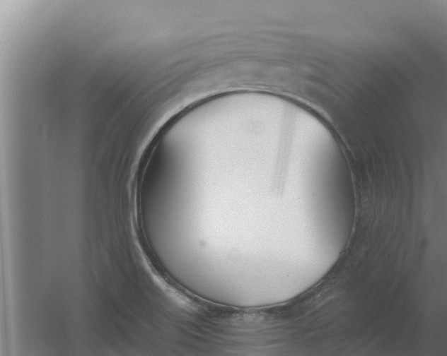 X0000059821515200511041706