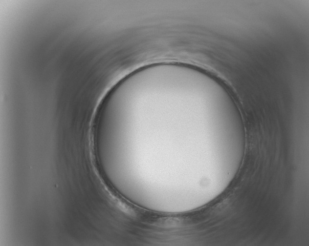 X0000059821517200511041706