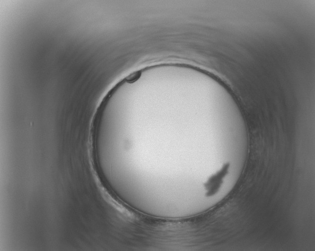 X0000059821518200511041706