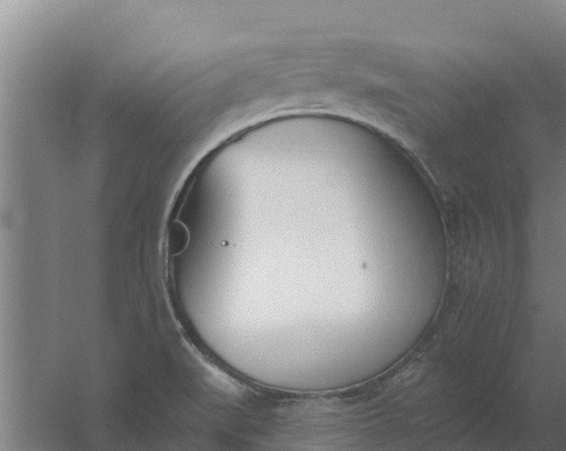 X0000059821519200511041706