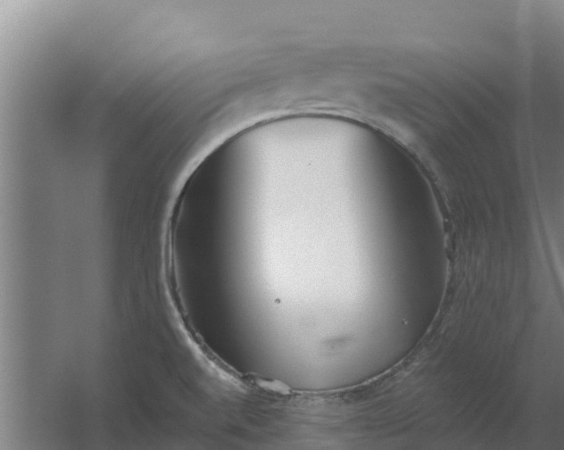 X0000059821520200511041706