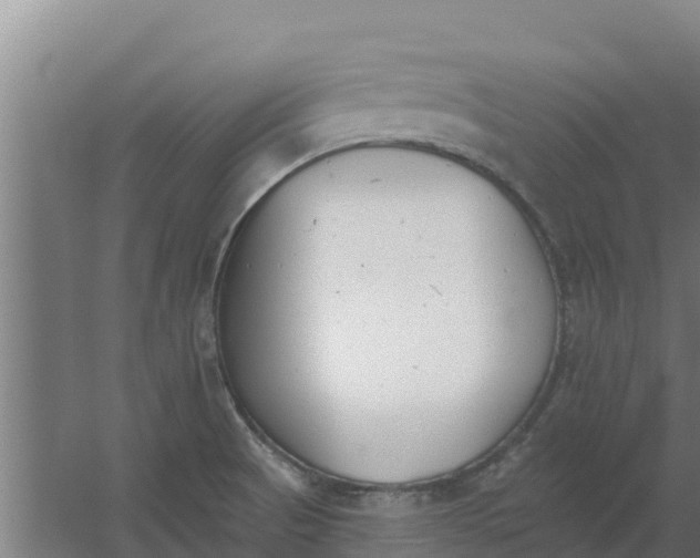 X0000059821521200511041706