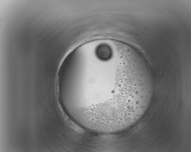 X0000059821522200511041706