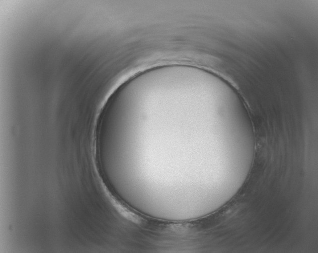 X0000059821523200511041706