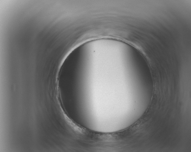 X0000059821524200511041706