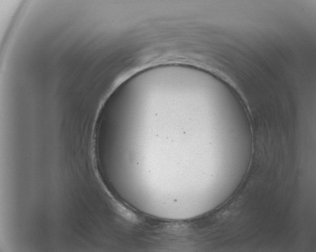 X0000059821525200511041706