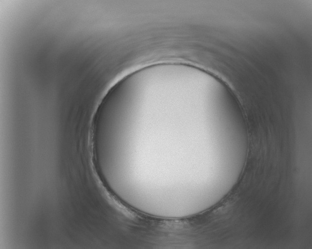 X0000059821526200511041706