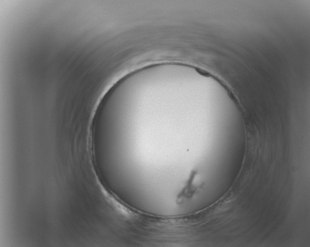 X0000059821527200511041706