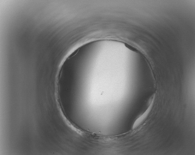 X0000059821528200511041706