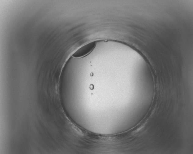 X0000059821529200511041706