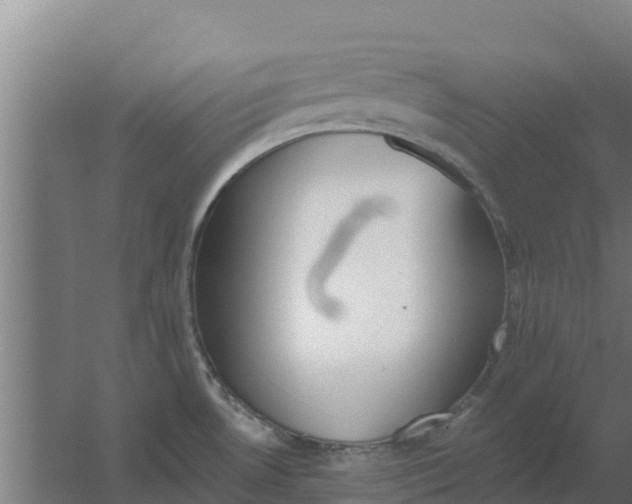 X0000059821530200511041706