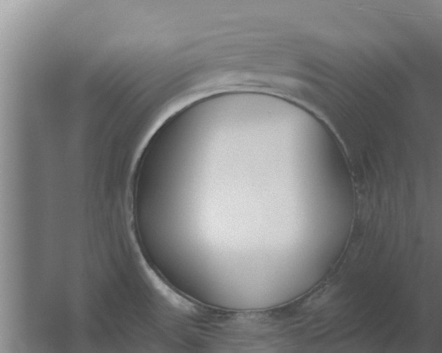 X0000059821531200511041706