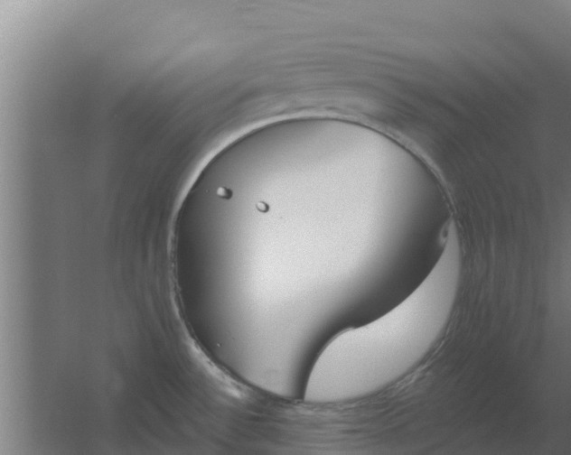 X0000059821532200511041706