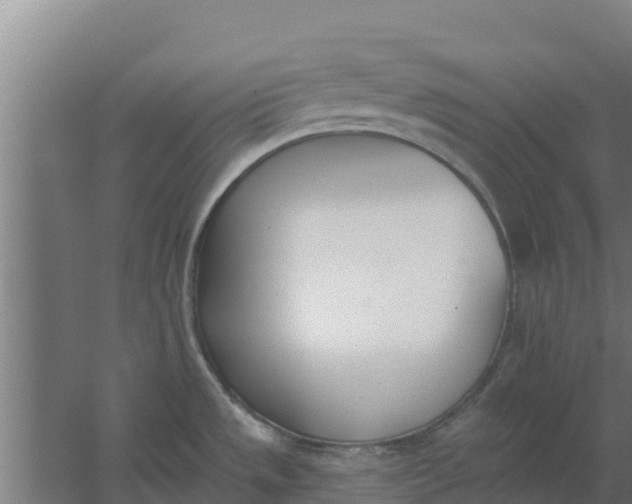 X0000059821533200511041706