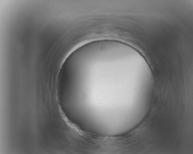 X0000059821534200511041706