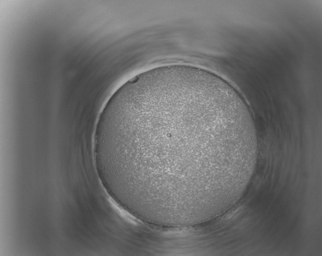 X0000059821535200511041706