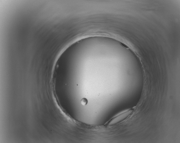 X0000059821536200511041706