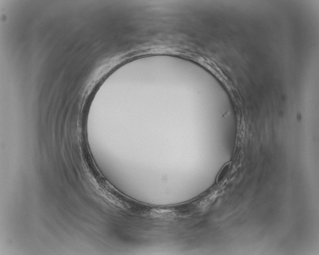 X0000059820055200511111703