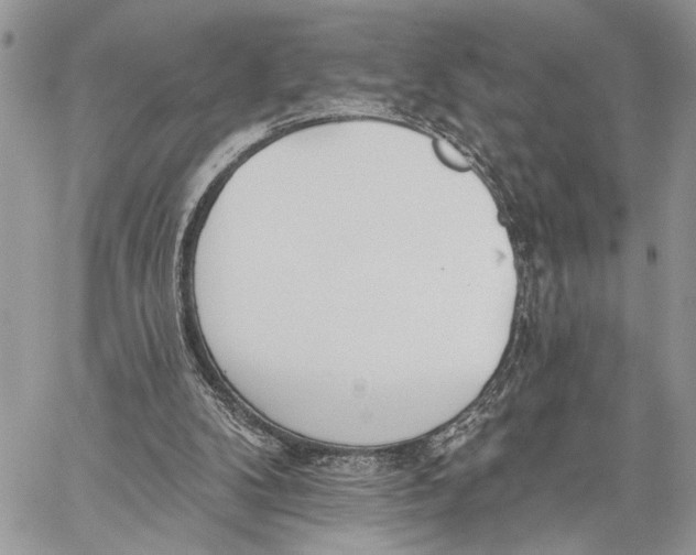 X0000059820104200511111703