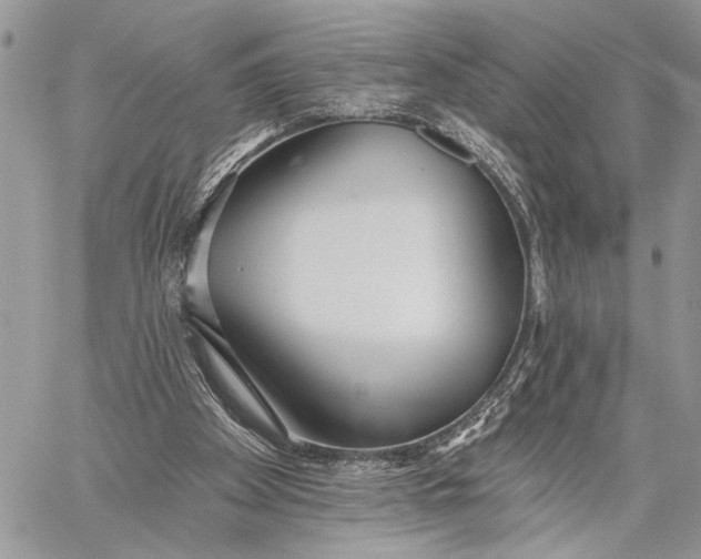 X0000059820105200511111703