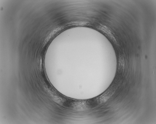 X0000059820110200511111703