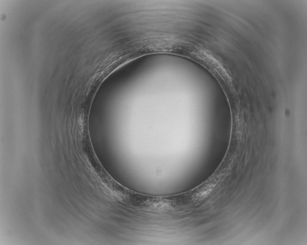 X0000059820113200511111703