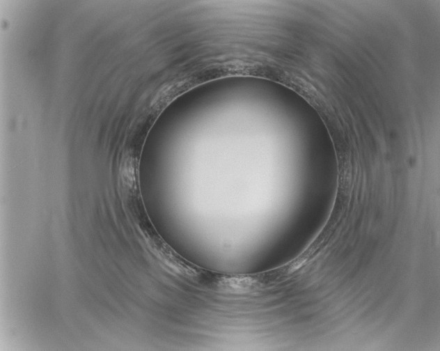X0000059820137200511111702
