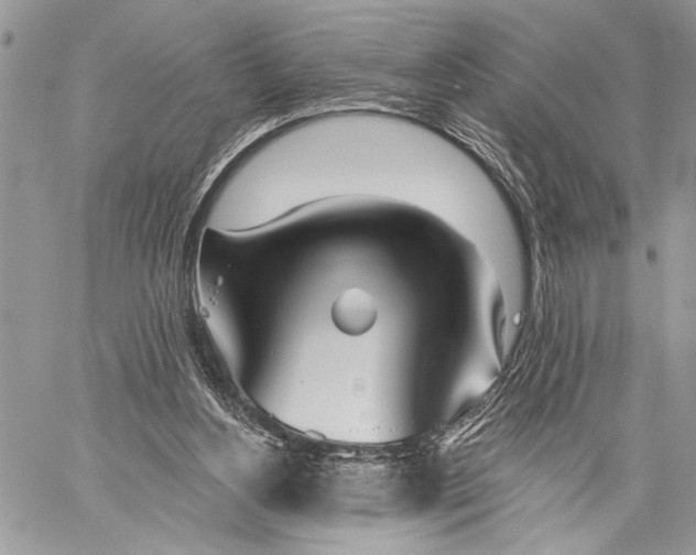 X0000059820156200511111702