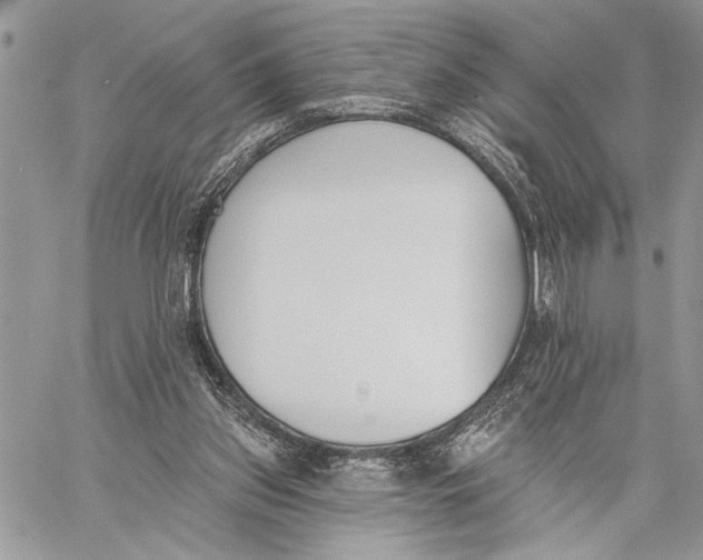 X0000059820157200511111702