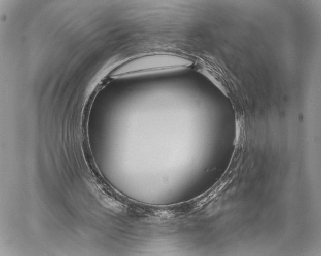 X0000059820195200511111701