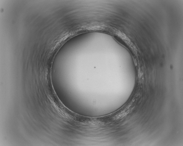 X0000059820201200511111701