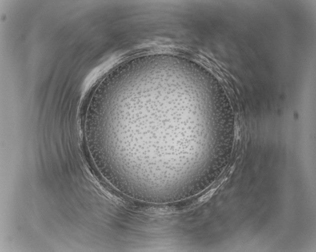 X0000059820245200511111700