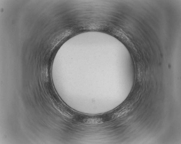 X0000059820251200511111700