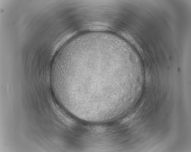 X0000059820533200511111655