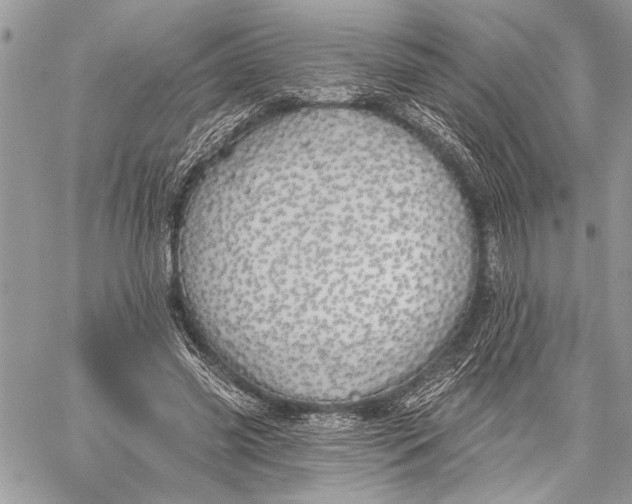 X0000059820541200511111655