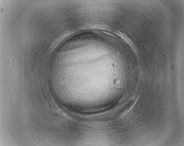 X0000059820577200511111655