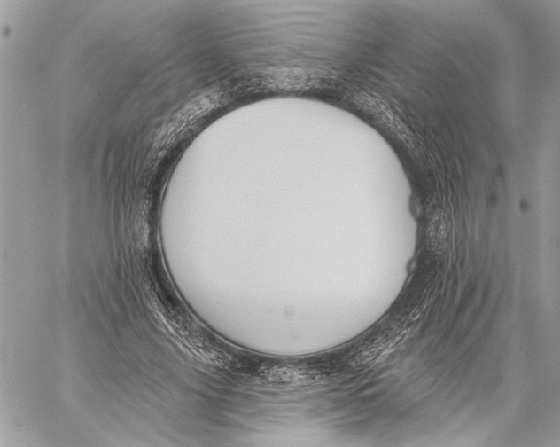 X0000059820635200511111654