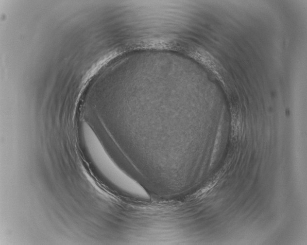 X0000059820674200511111653