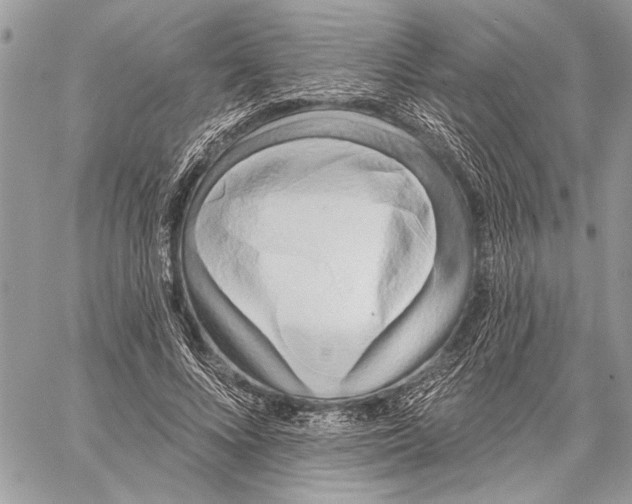 X0000059820688200511111653
