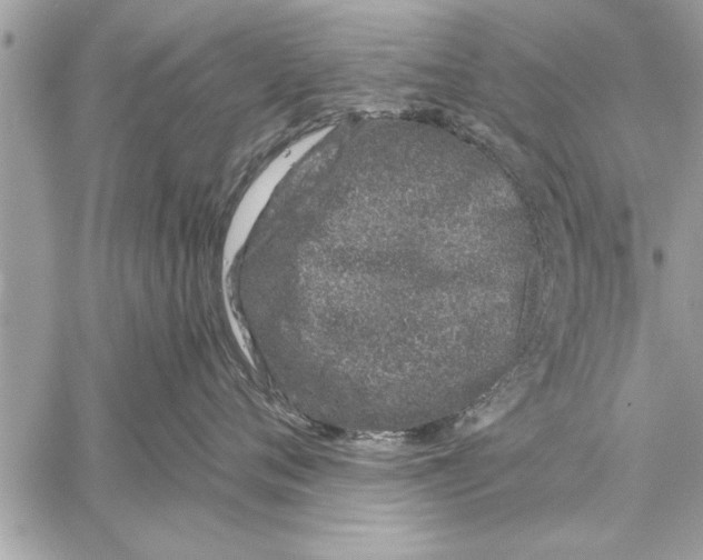 X0000059820720200511111653
