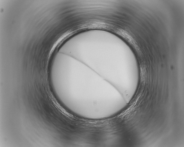 X0000059820780200511111652