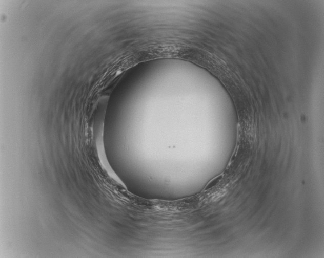 X0000059820818200511111650