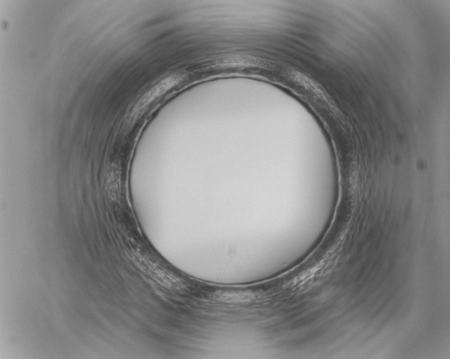 X0000059820825200511111650