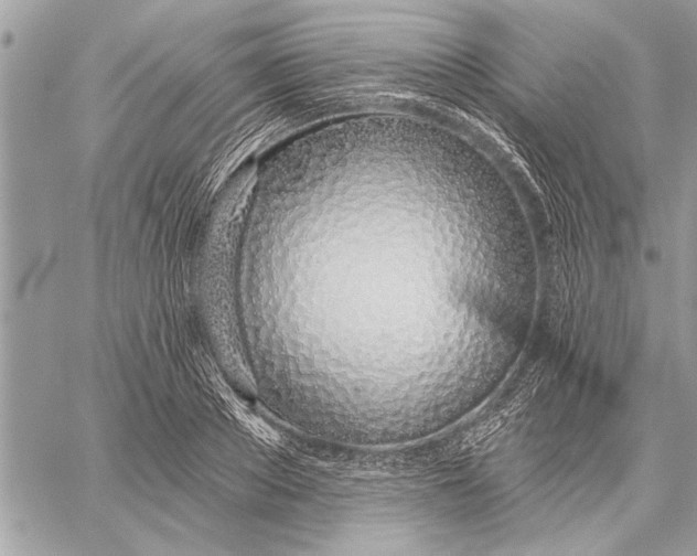 X0000059820889200511111650