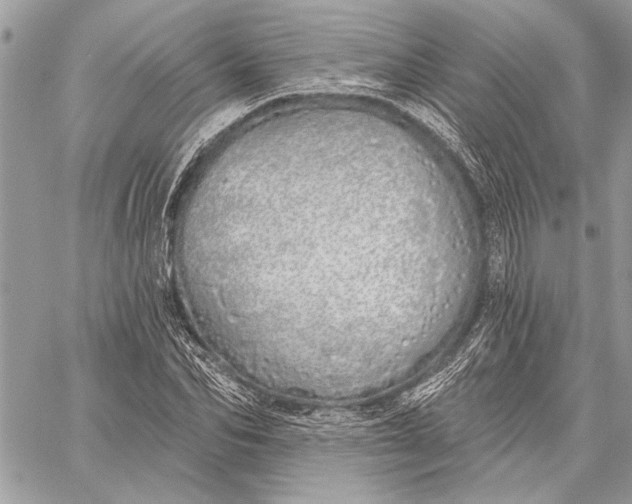 X0000059820974200511111648